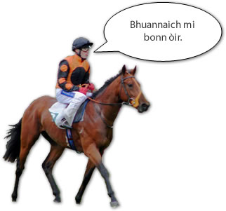 10A2 Image: Horse with jockey